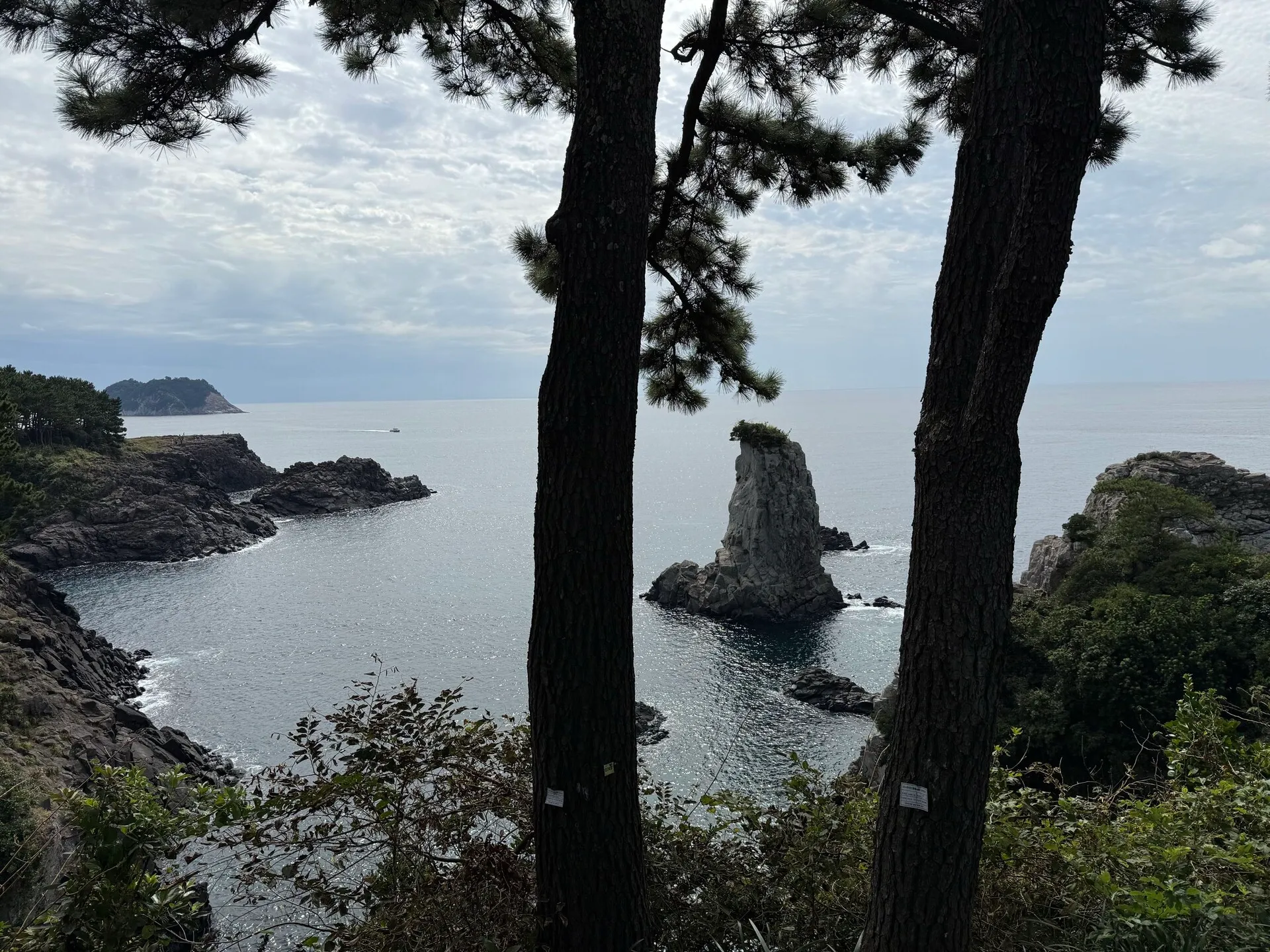 Jeju Coast